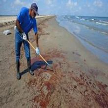STAGE TUBE: GLEE Lends Support to Gulf Oil Spill